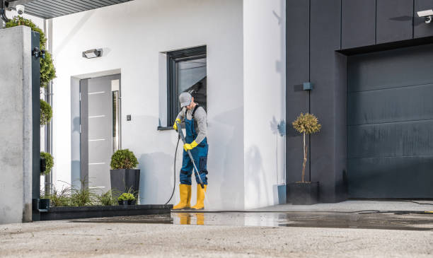 Best Soft Washing  in Ellitt, CO